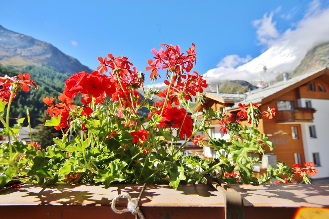 Hostel Imseng Saas Fee Exteriör bild
